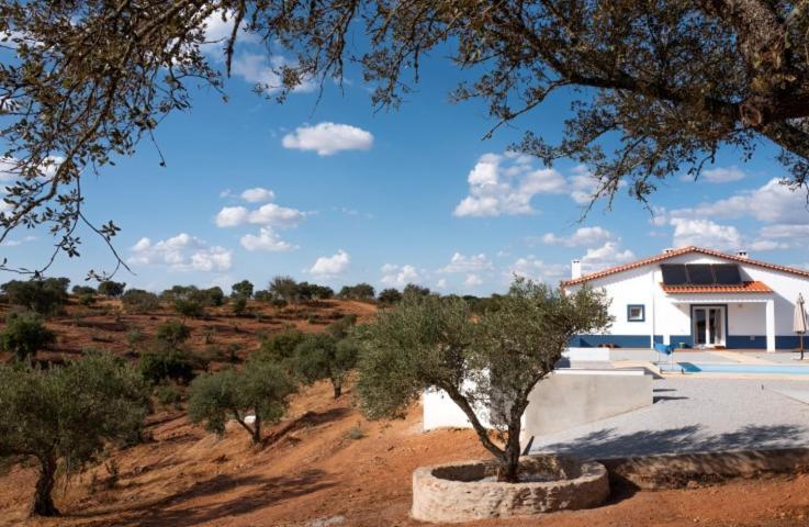Bed and Breakfast Monte Anna Vila Verde de Ficalho Zewnętrze zdjęcie
