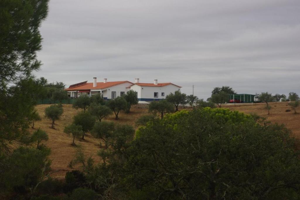 Bed and Breakfast Monte Anna Vila Verde de Ficalho Zewnętrze zdjęcie